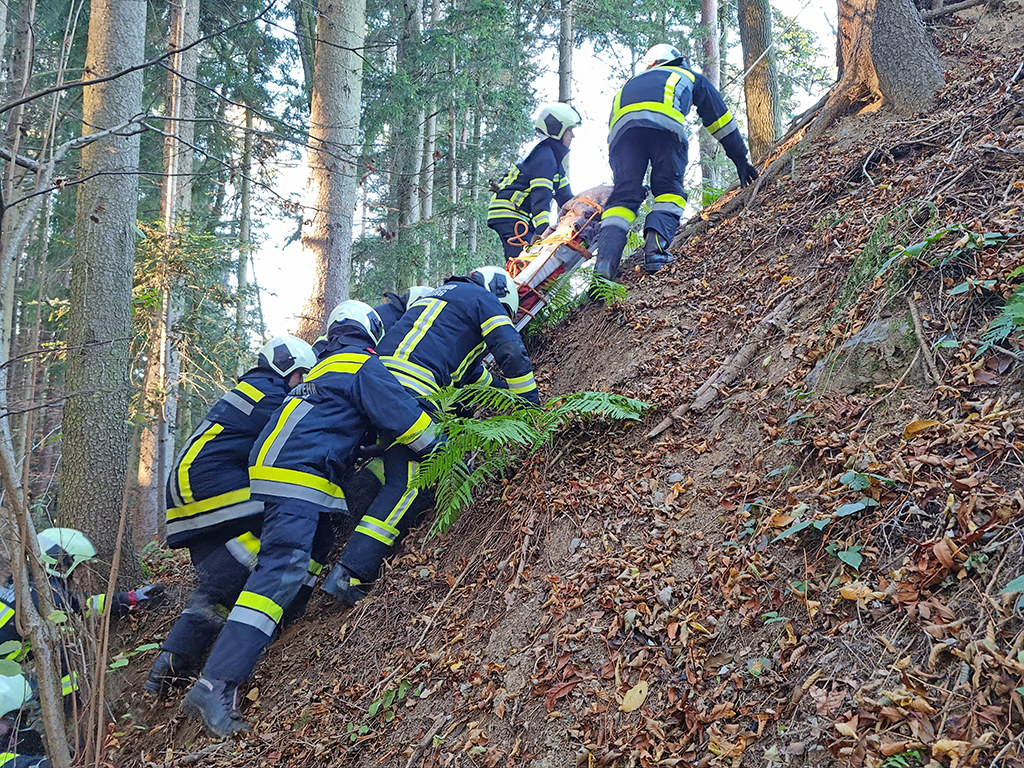 Übung Forstunfall